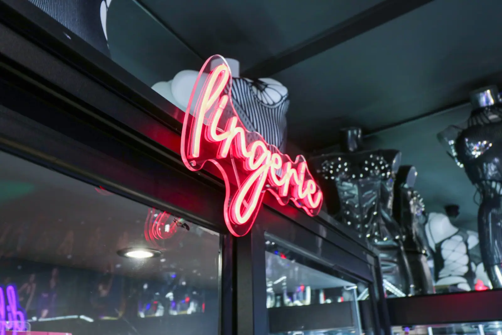 The lingerie section at Lynx Store in Toulouse